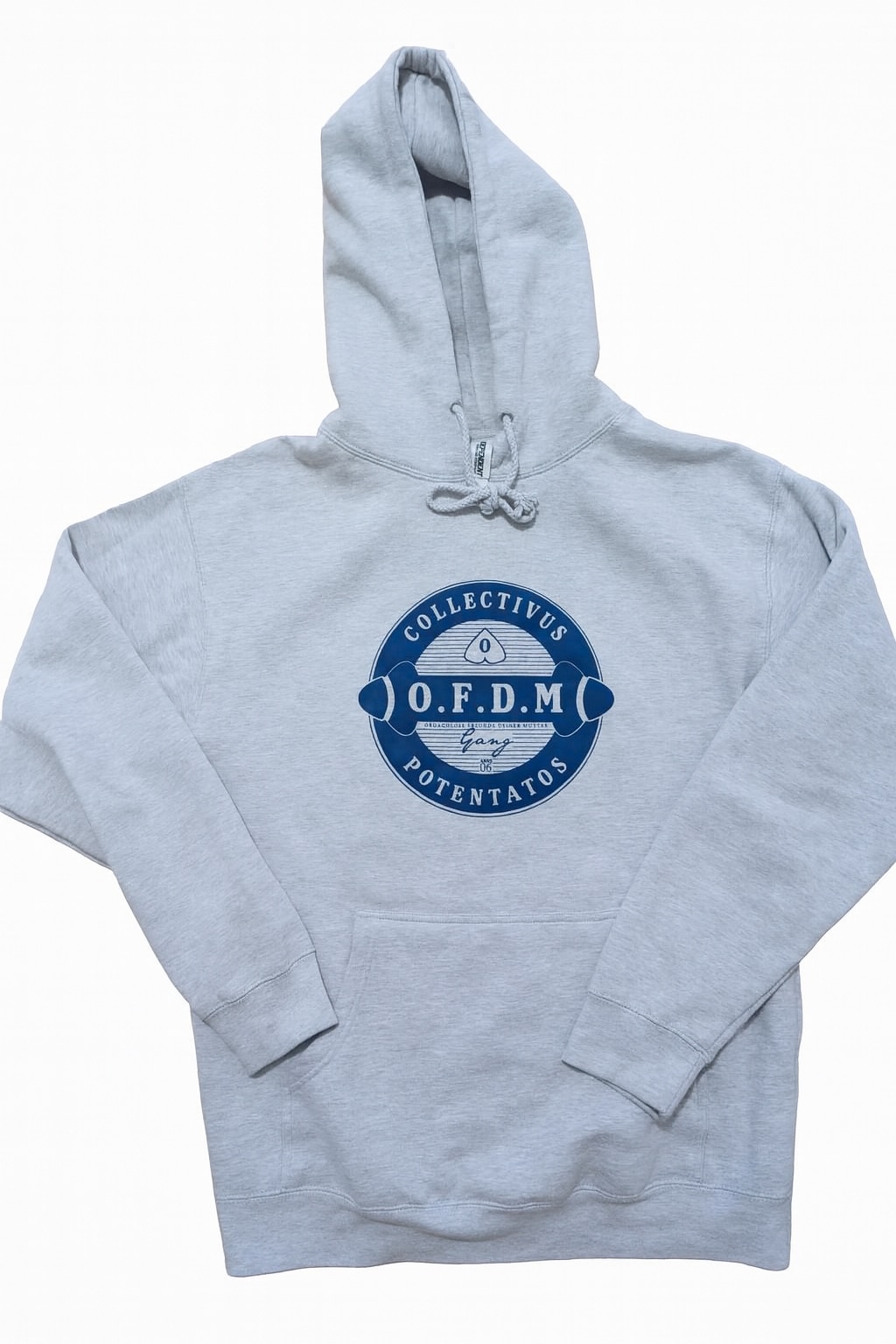 OFDM Gang Hoodie in Heather Grey und Blau